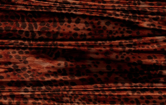 Download Abstract Animal Skin Texture Backgrounds - Premium Bundle