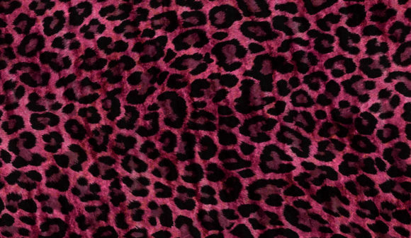 Download Abstract Animal Skin Texture Backgrounds - Premium Bundle