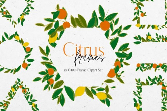 Download Citrus Lemon and Orange Frames Clipart - Citrus lemon Collection
